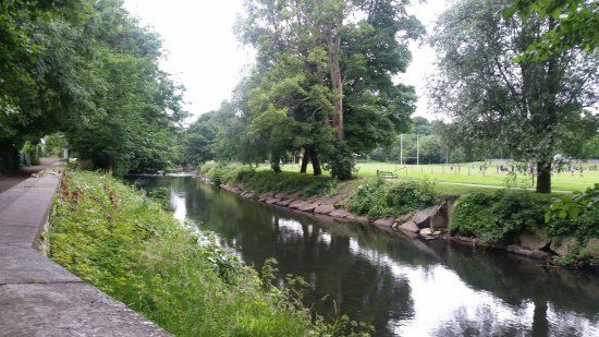 Newbridge Fields