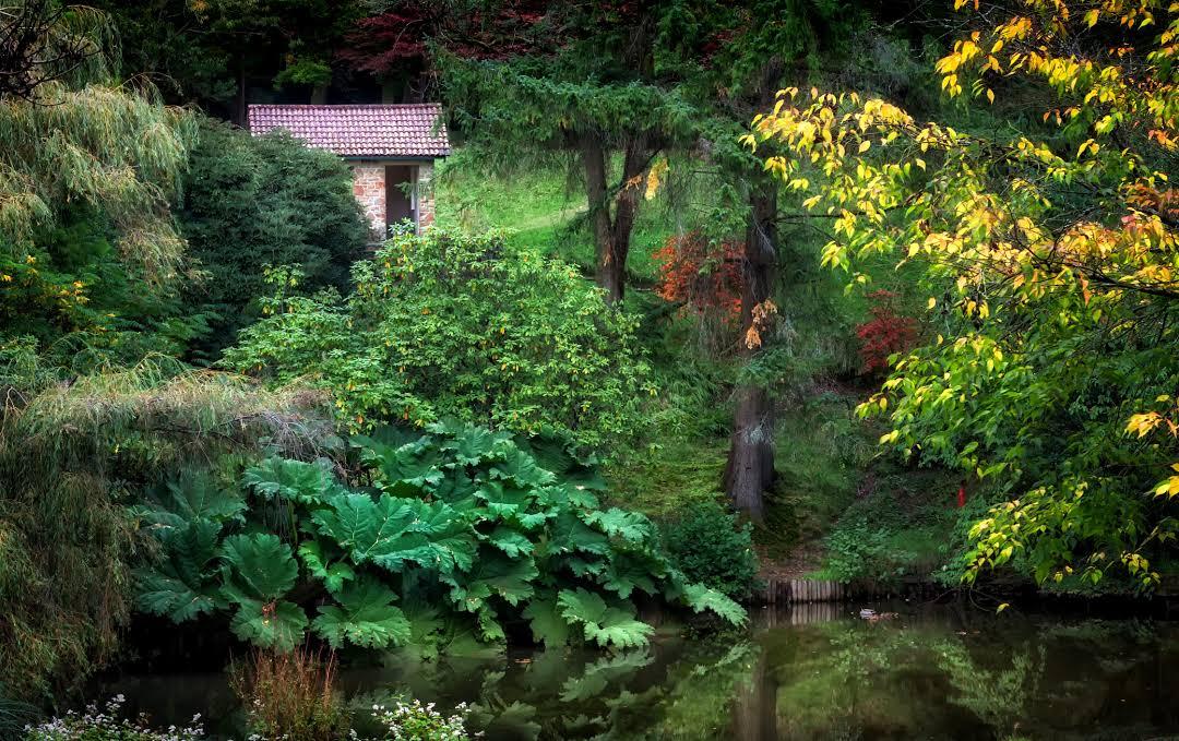 Clyne Gardens