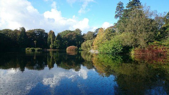 Brynmill Park